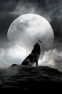 Wulf Howl Moon