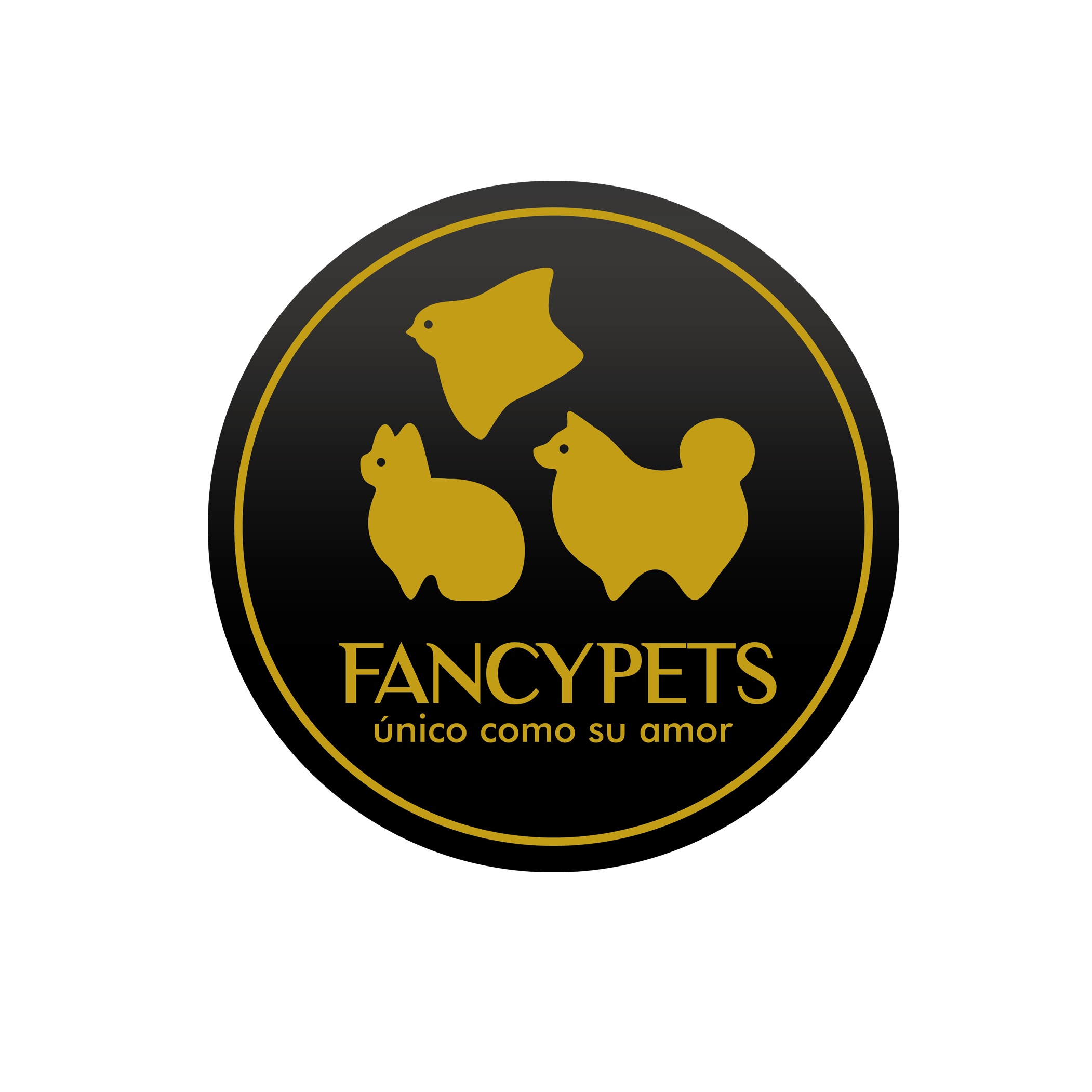 collares perros
